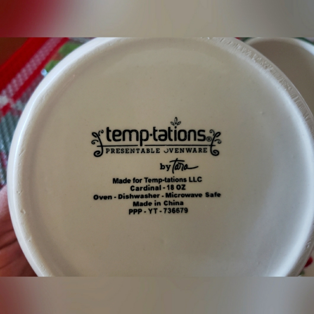 Temp-tations Soup bowls